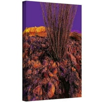 Dean Uhlinger "Yuma Desert Dawn" Gallery-Wrapped Canvas