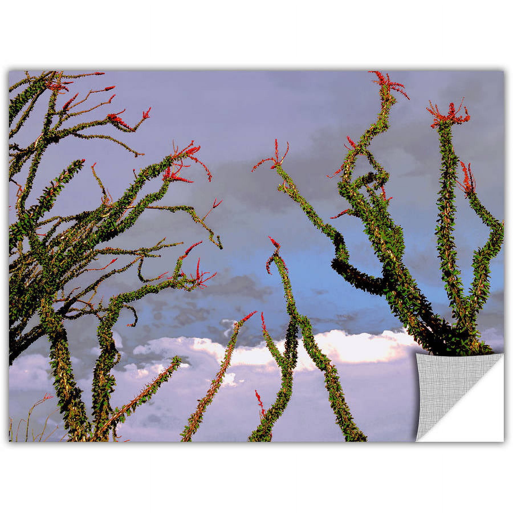 Dean Uhlinger Yuma Desert Spring, Art Appeelz Removable Wall Art Graphic
