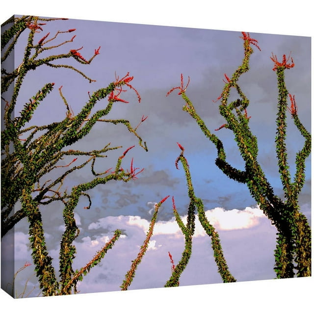 Dean Uhlinger 'Yuma Desert Spring' Gallery-wrapped Canvas