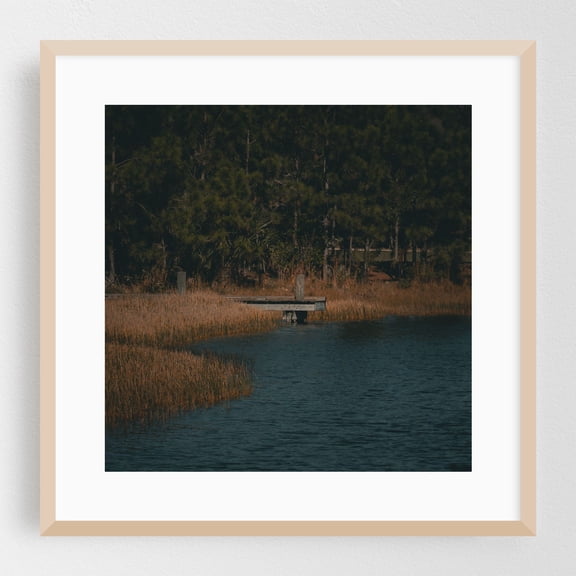 Dear Frightened Little Boy - West Palm Beach Florida Photography Lake Woodland Nature Wilderness Autumn Scenic Water Oak Framed Wall Art Print 20 x 20 inches