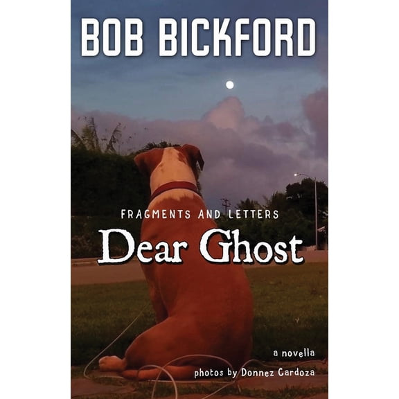 Dear Ghost: Fragments and Letters (Paperback) by Donnez Cardoza, Bob Bickford