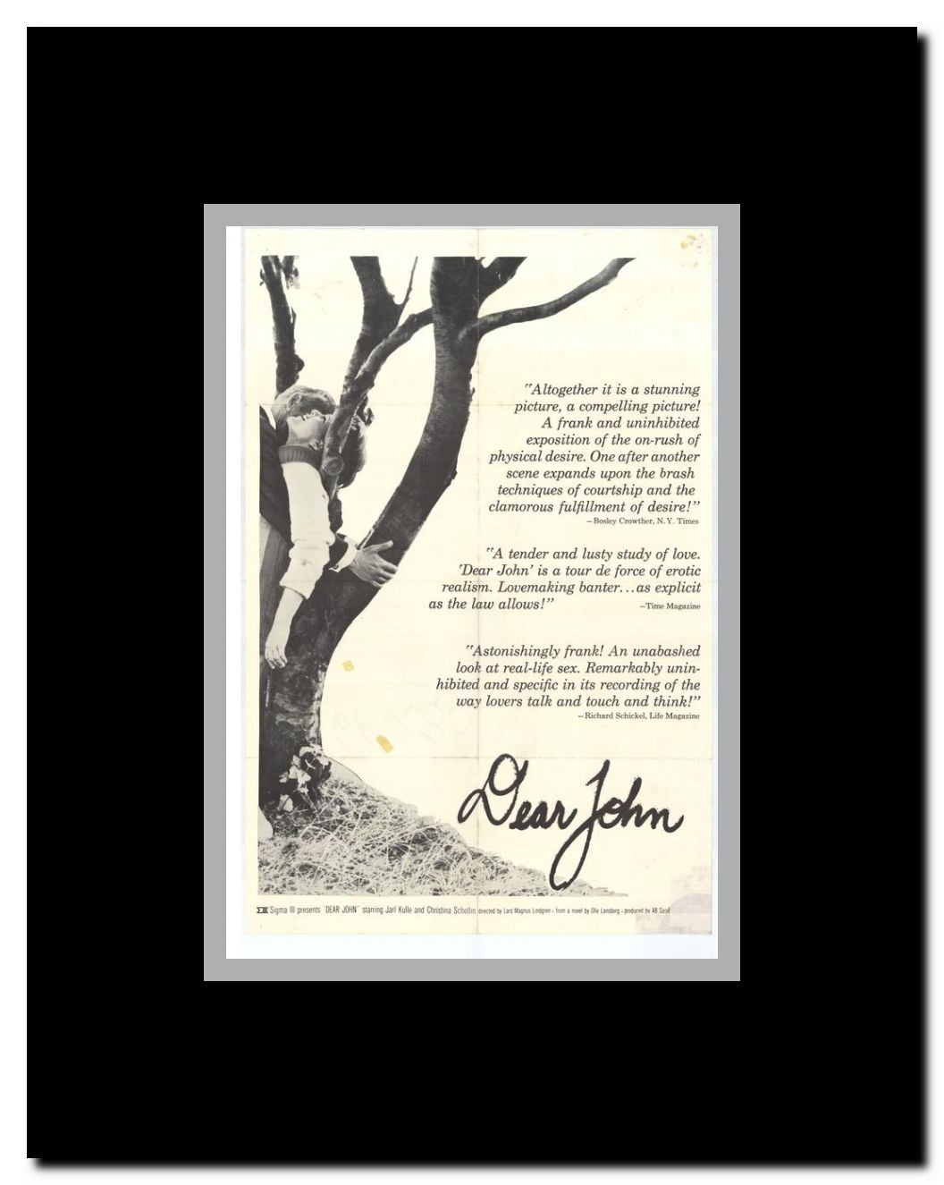 Dear John Framed Movie Poster