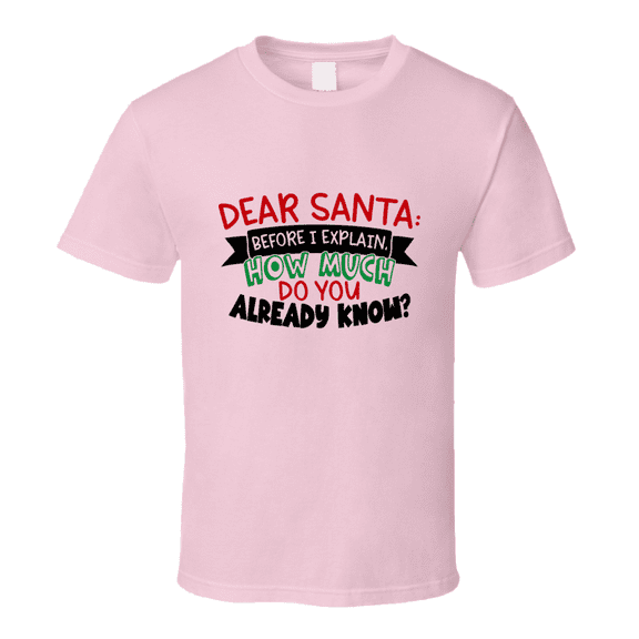 Dear Santa Before I Explain Amusing Christmas Tshirt Cool Funny T-shirt Holiday Tee T Shirt