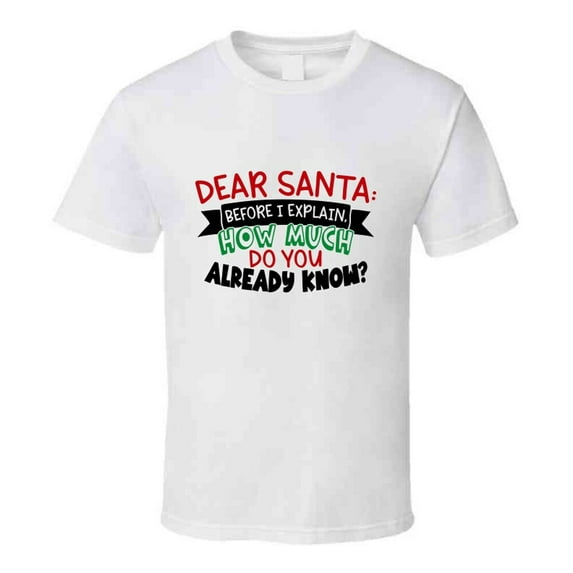 Dear Santa Before I Explain Amusing Christmas Tshirt Cool Funny T-shirt Holiday Tee T Shirt