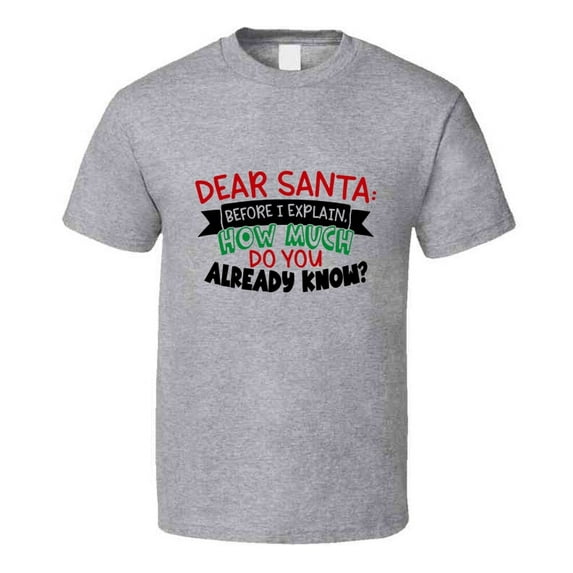 Dear Santa Before I Explain Amusing Christmas Tshirt Cool Funny T-shirt Holiday Tee T Shirt