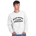 thumbnail image 1 of Dear Santa I Can Explain Naughty Xmas Sweatshirt for Men or Women Brisco Brands X, 1 of 5