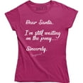 thumbnail image 1 of Dear Santa I'm Still Waiting On The Pony Sincerely - Holiday Women's T-Shirt, 1 of 4