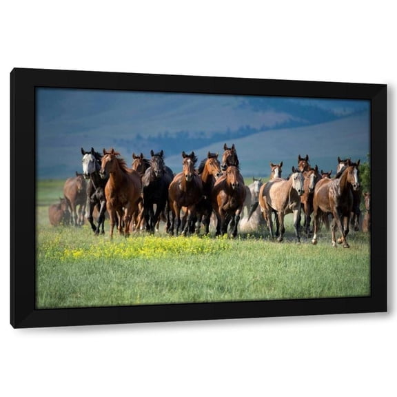 Lisa Dearing 14x11 Black Modern Wood Framed Wall Art Titled - Montana Thunder