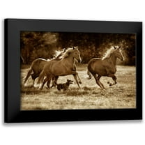 Dearing, Lisa 14x11 Black Modern Framed Museum Art Print Titled - Paso Horses
