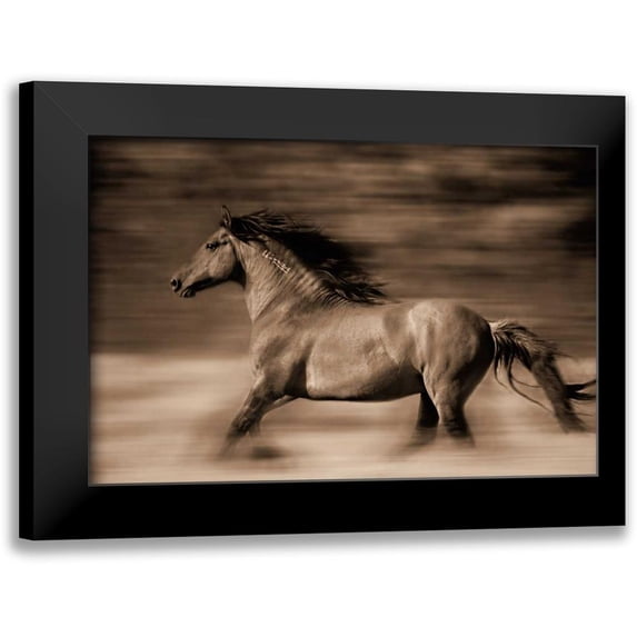 Dearing, Lisa 18x13 Black Modern Framed Museum Art Print Titled - Wind Runner