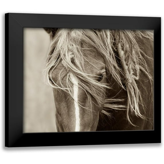 Dearing, Lisa 18x15 Black Modern Framed Museum Art Print Titled - Wind Knots