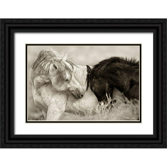 Dearing, Lisa 24x17 Black Ornate Wood Framed with Double Matting Museum Art Print Titled - The Long Goodbye