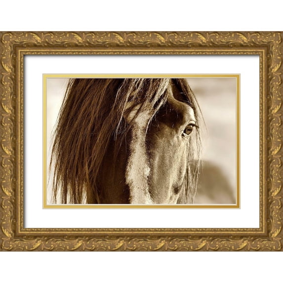 Dearing, Lisa 24x17 Gold Ornate Wood Framed with Double Matting Museum Art Print Titled - Amante