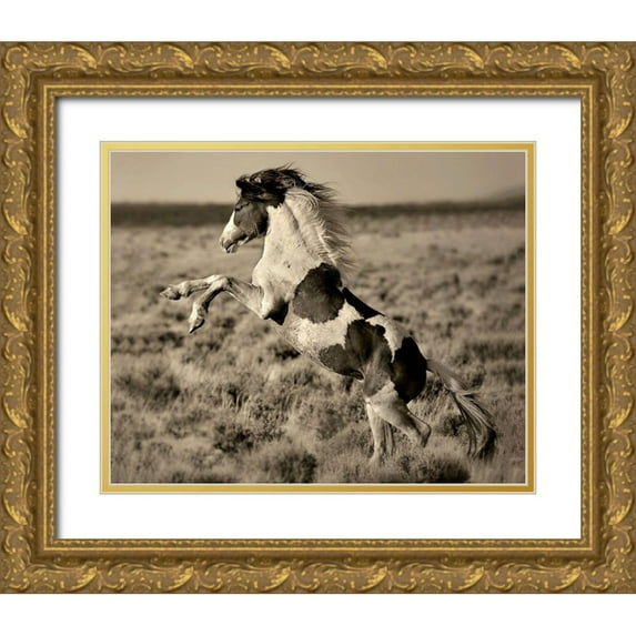 Dearing, Lisa 32x26 Gold Ornate Wood Framed with Double Matting Museum Art Print Titled - Wild Painted Pony