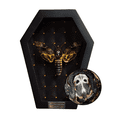 thumbnail image 1 of Death Head Moth Black Frame Shadow Box, Gothic Inspired Wall Art, Dark Aesthetic Home Decor, Framed Display for Curiosity Cabinet, 1 of 5
