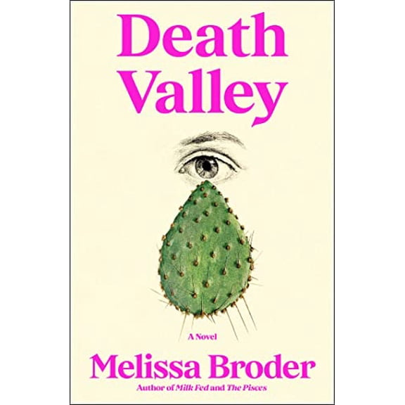 Pre-Owned Death Valley : A Novel (Hardcover) 9781668024843
