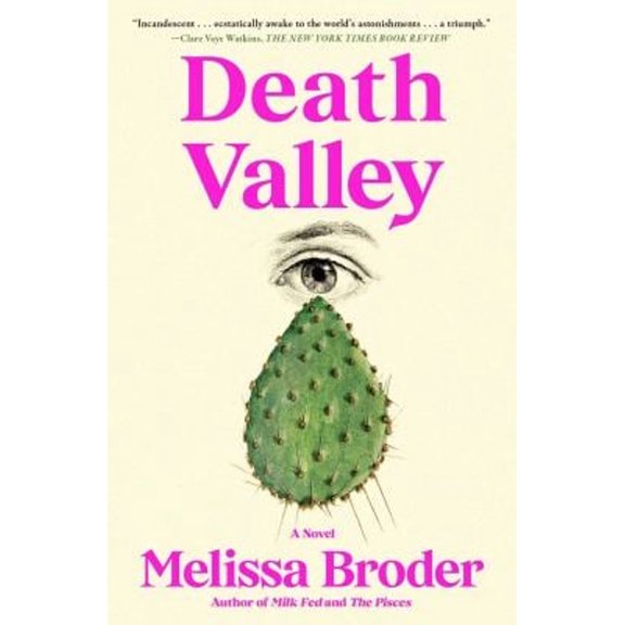 Pre-Owned Death Valley : A Novel (Paperback) 9781668024867