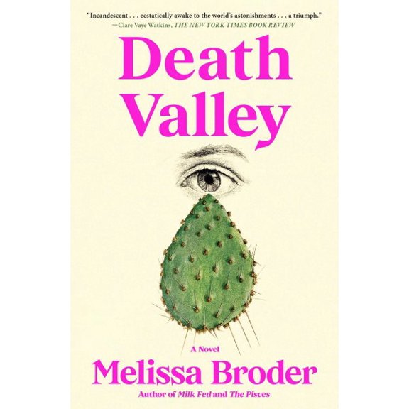 Pre-Owned Death Valley : A Novel (Paperback)