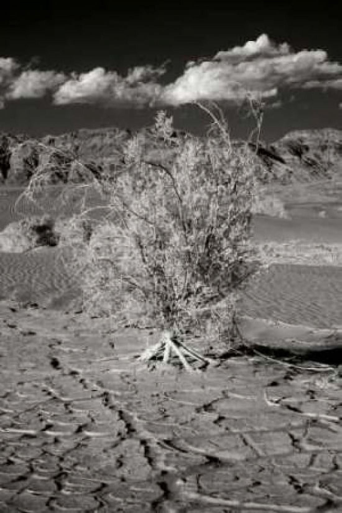 Death Valley Dunes I Canvas Art - George Johnson (12 x 18)