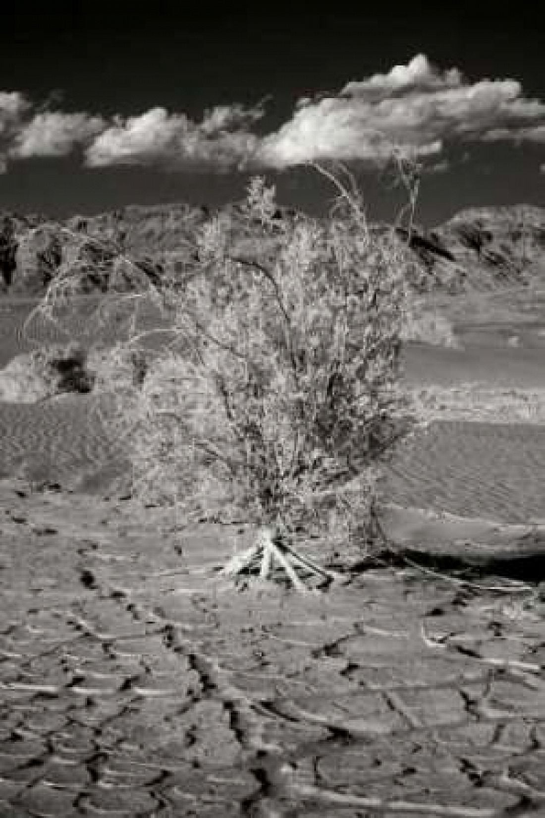 Death Valley Dunes I Canvas Art - George Johnson (24 x 36)