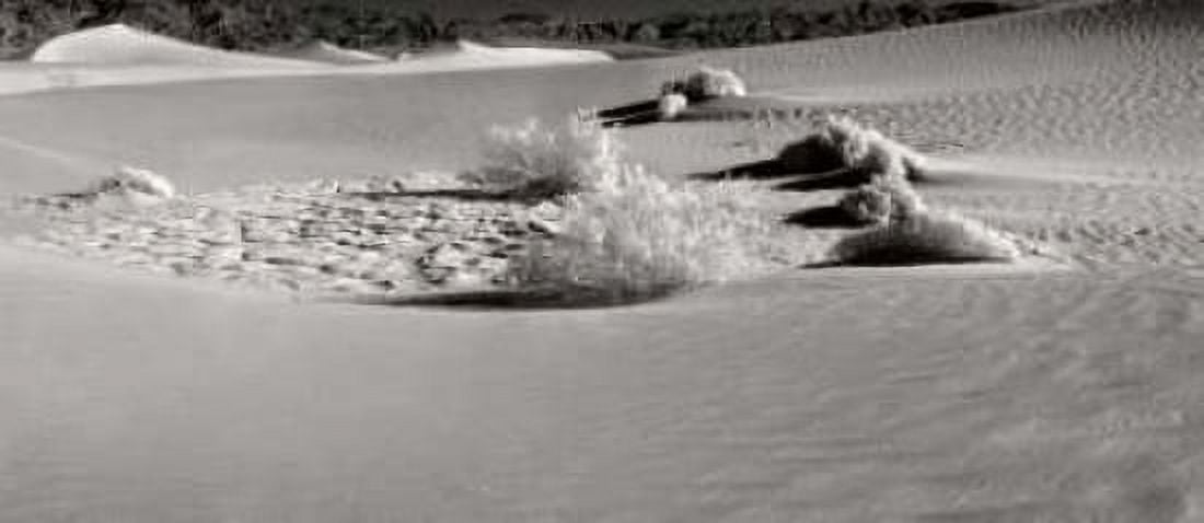 Death Valley Dunes I Canvas Art - George Johnson (24 x 48)