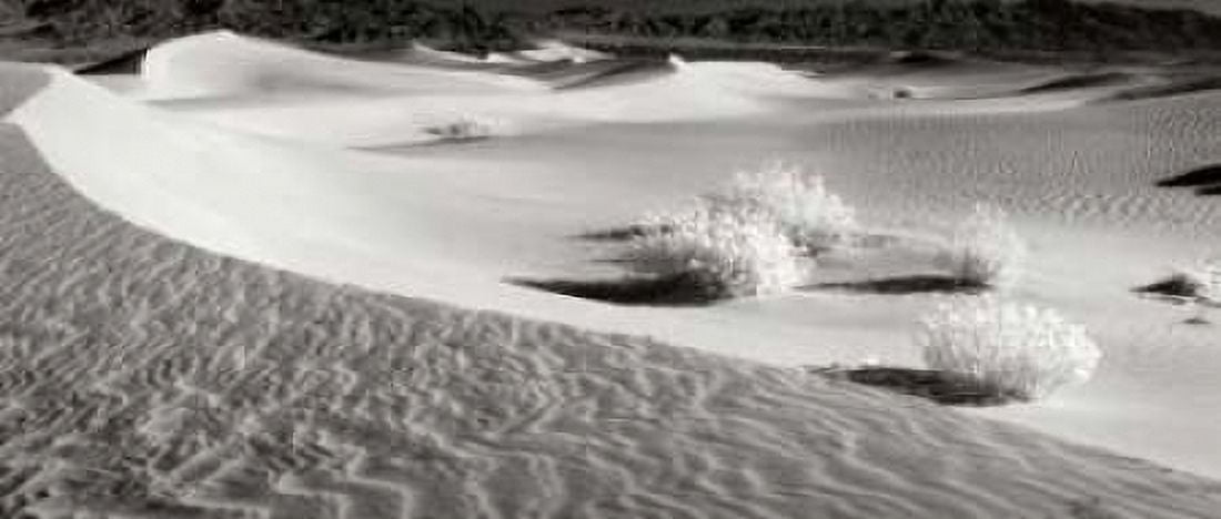 Death Valley Dunes II Canvas Art - George Johnson (10 x 20)