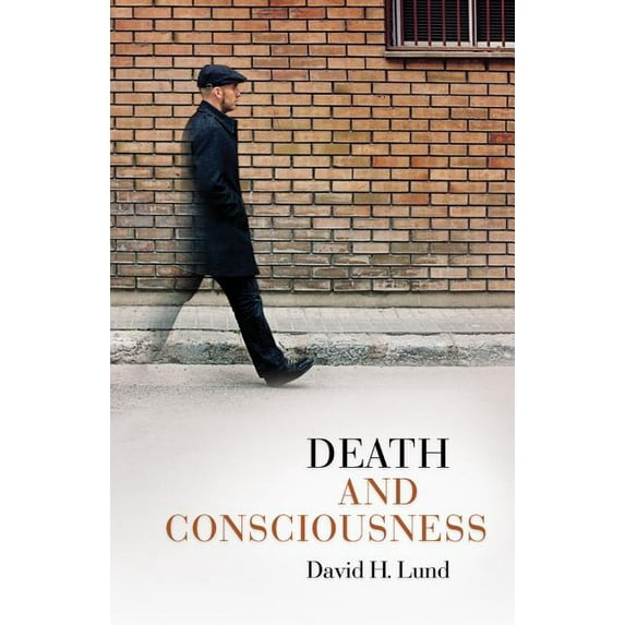 Death and Consciousness (Paperback)