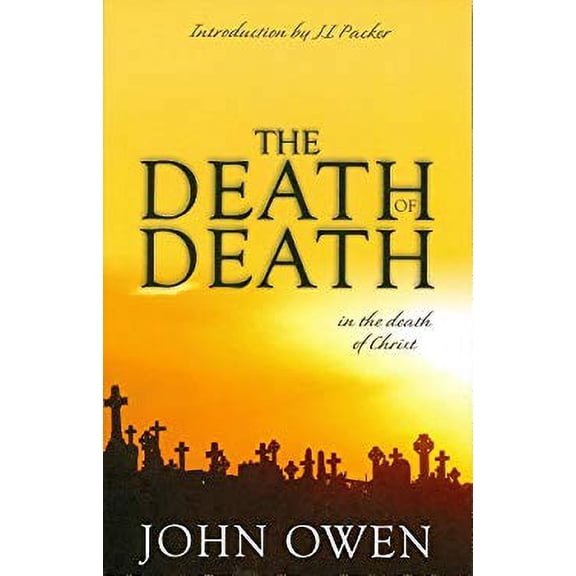 Pre-Owned Death of Death (Paperback) 0851513824 9780851513829