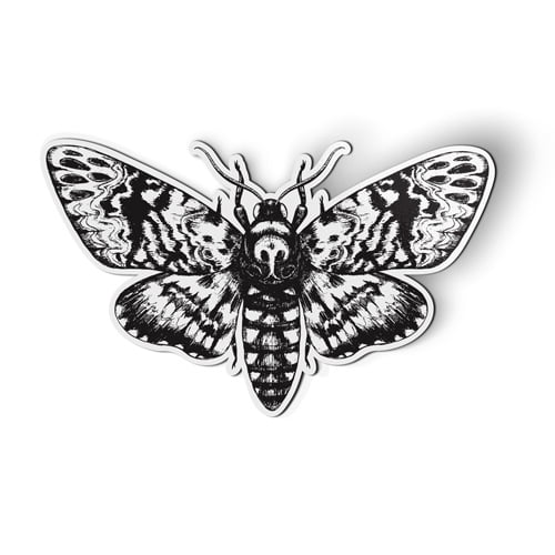 Death's Head Hawk Moth - 5" Magnet for Car Locker Refrigerator