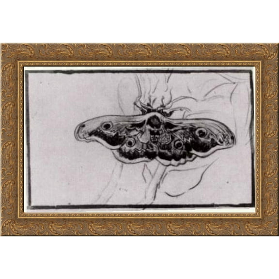 Death's Head Moth 24x18 Gold Ornate Wood Framed Canvas Art by Vincent van Gogh