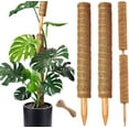 thumbnail image 1 of Debonair Moss Pole for Plants - 15 Inches (2 Pack) | Monstera Houseplant Stakes, Moss Poles for Garden, Coir Totem Sticks, 1 of 7