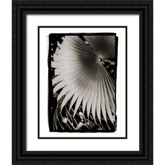 Debra, Van Swearingen 20x24 Black Ornate Wood Framed with Double Matting Museum Art Print Titled - Palm Frond II v2