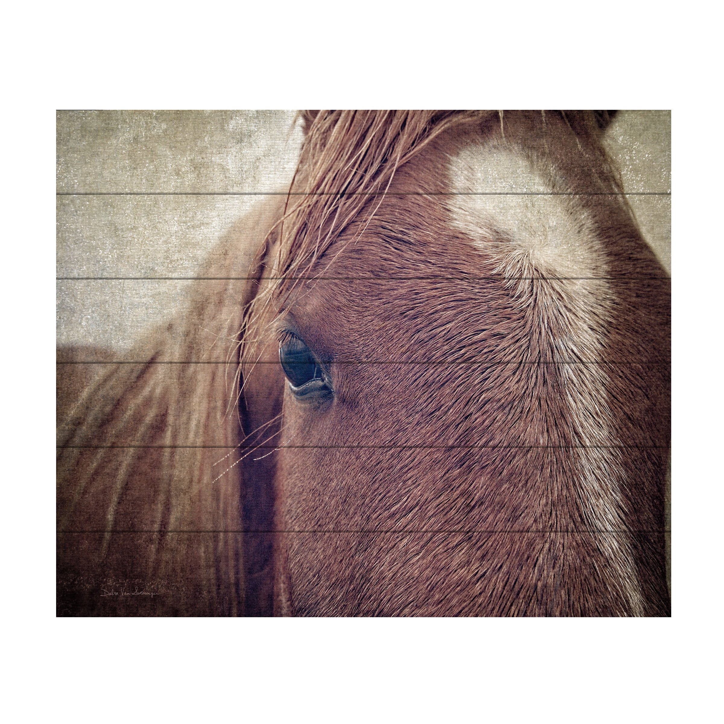 Debra Van Swearingen 'Dew Lashes' Wood Slat Art 18x22