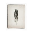 thumbnail image 1 of Debra Van Swearingen 'Feather I BW' Canvas Art, 1 of 3