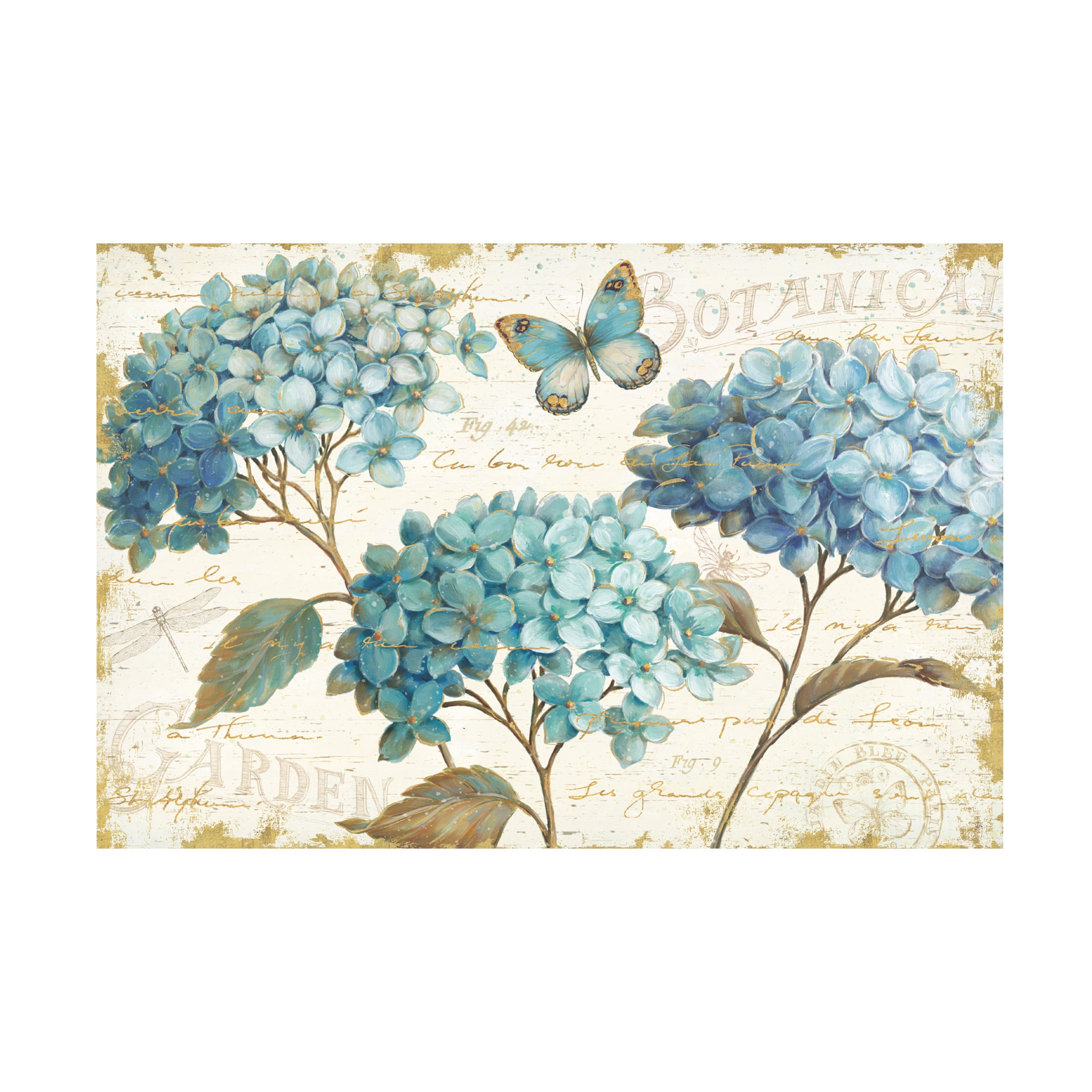 Debra Van Swearingen 'Floating Butterfly II' Canvas Art