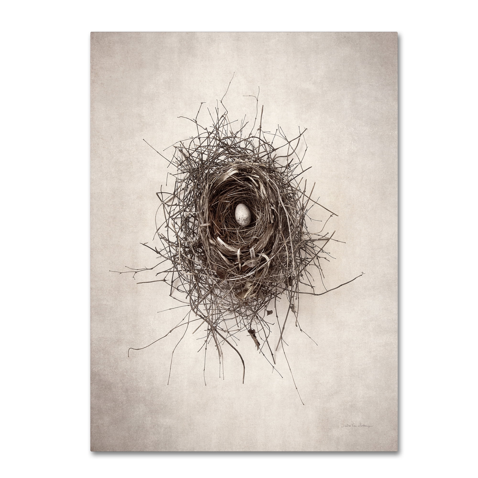 Large Framed Beige and Brown Bird Nest Canvas Art