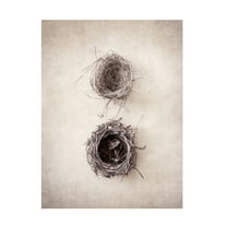 Debra Van Swearingen 'Nest IV' Canvas Art
