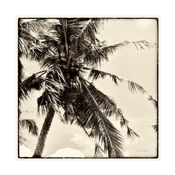 Debra Van Swearingen 'Palm Tree Sepia II' Canvas Art