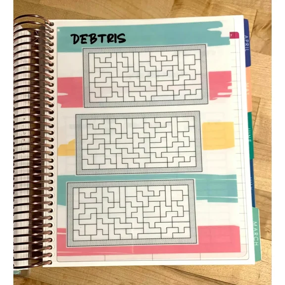 Debtris Money Saving Out Of Debt 2 Sided Dashboard 4 Use W Erin Condren Planner-