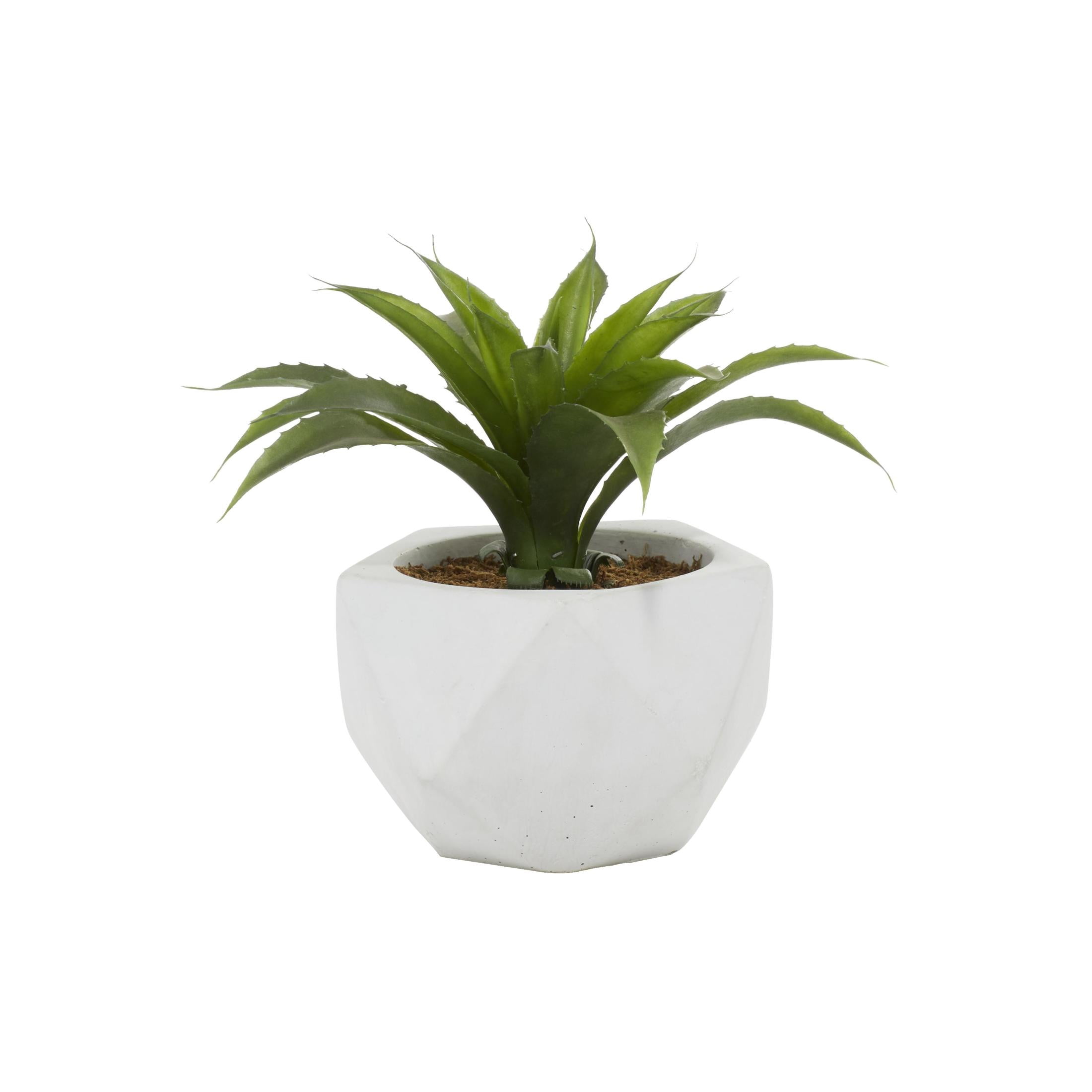 DecMode 10" Artificial Agave Plant in Realistic Leaves and White Ceramic Pot