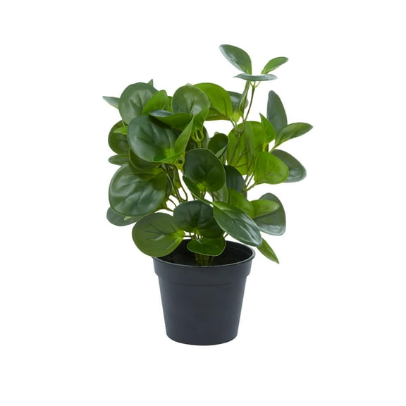 DecMode 13" Artificial Eucalyptus Plant in Realistic Leaves and Black Round Pot