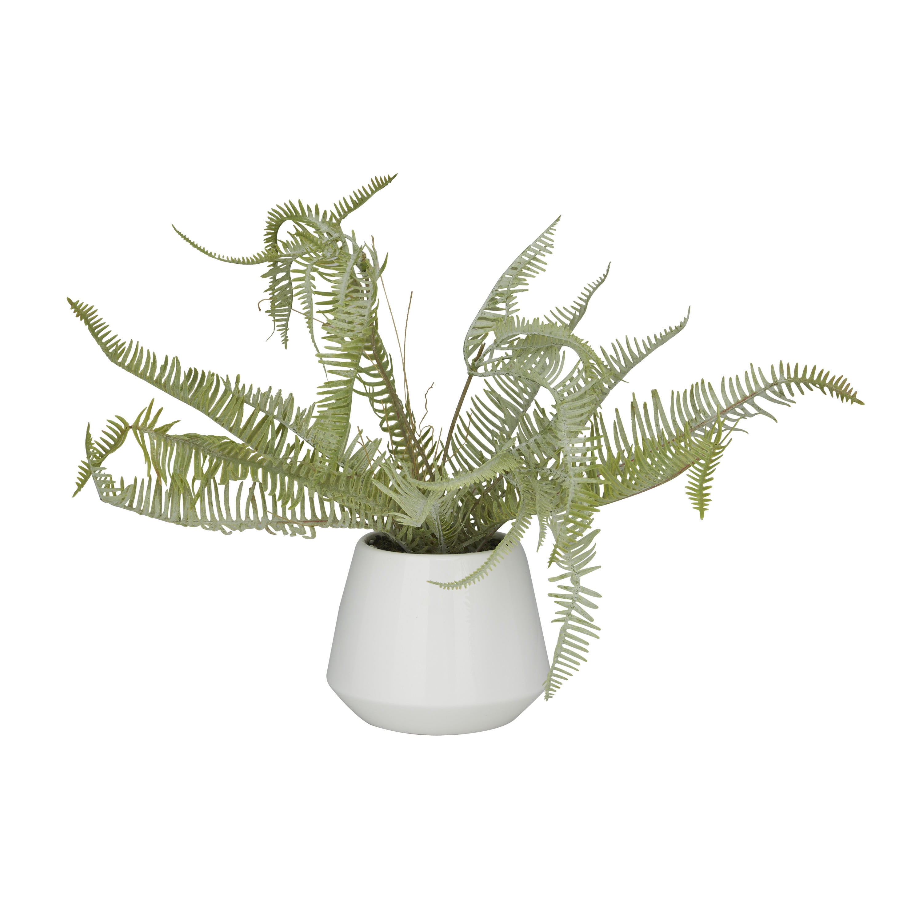 DecMode 14" Artificial Fern Plant in Realistic Leaves and White Ceramic Pot