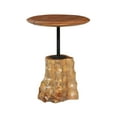 thumbnail image 1 of DecMode 18" x 23" Brown Teak Wood Handmade Live Edge Raised Tabletop Accent Table with Tree Stump Base, 1-Piece, 1 of 10