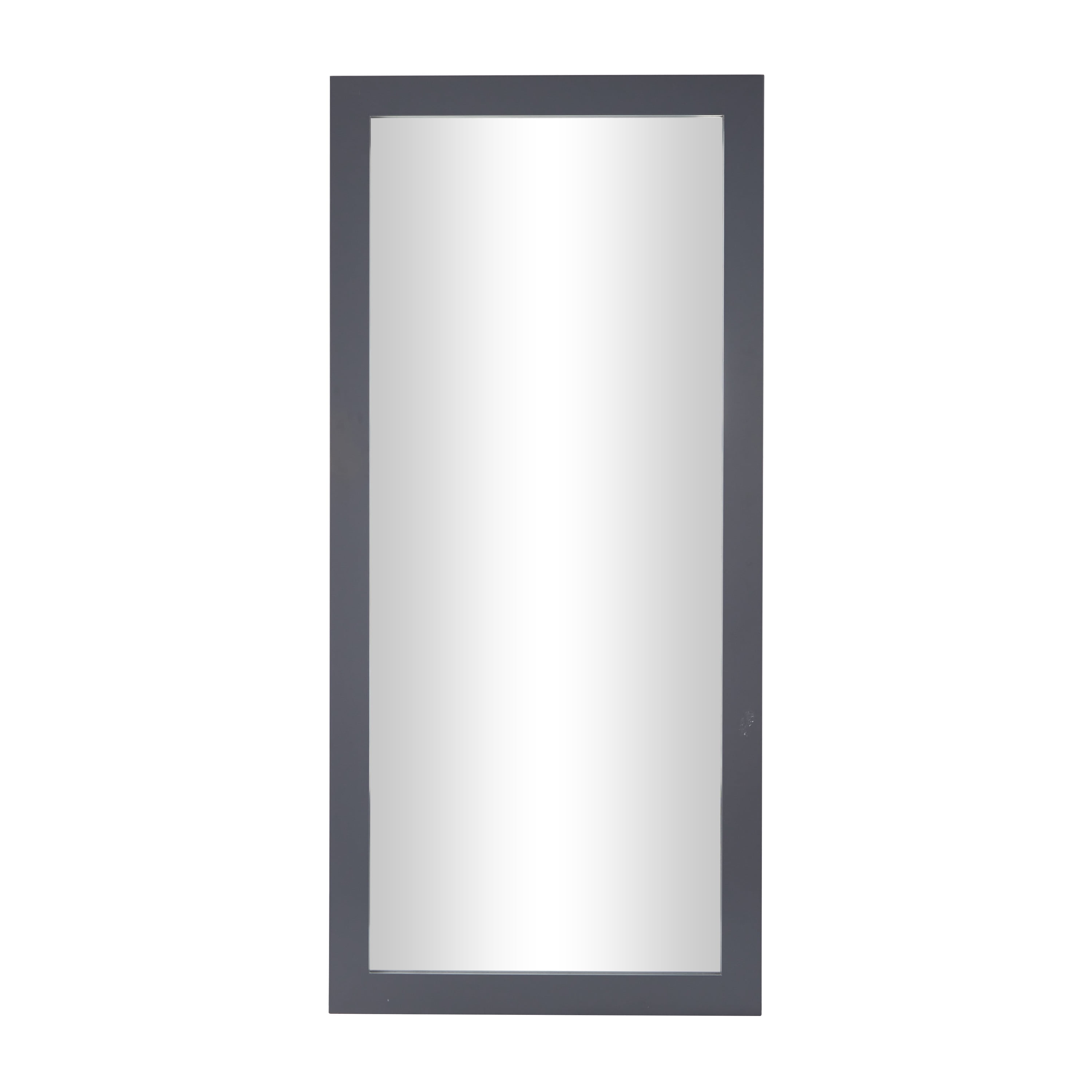 DecMode 33" x 70" Gray Wall Mirror
