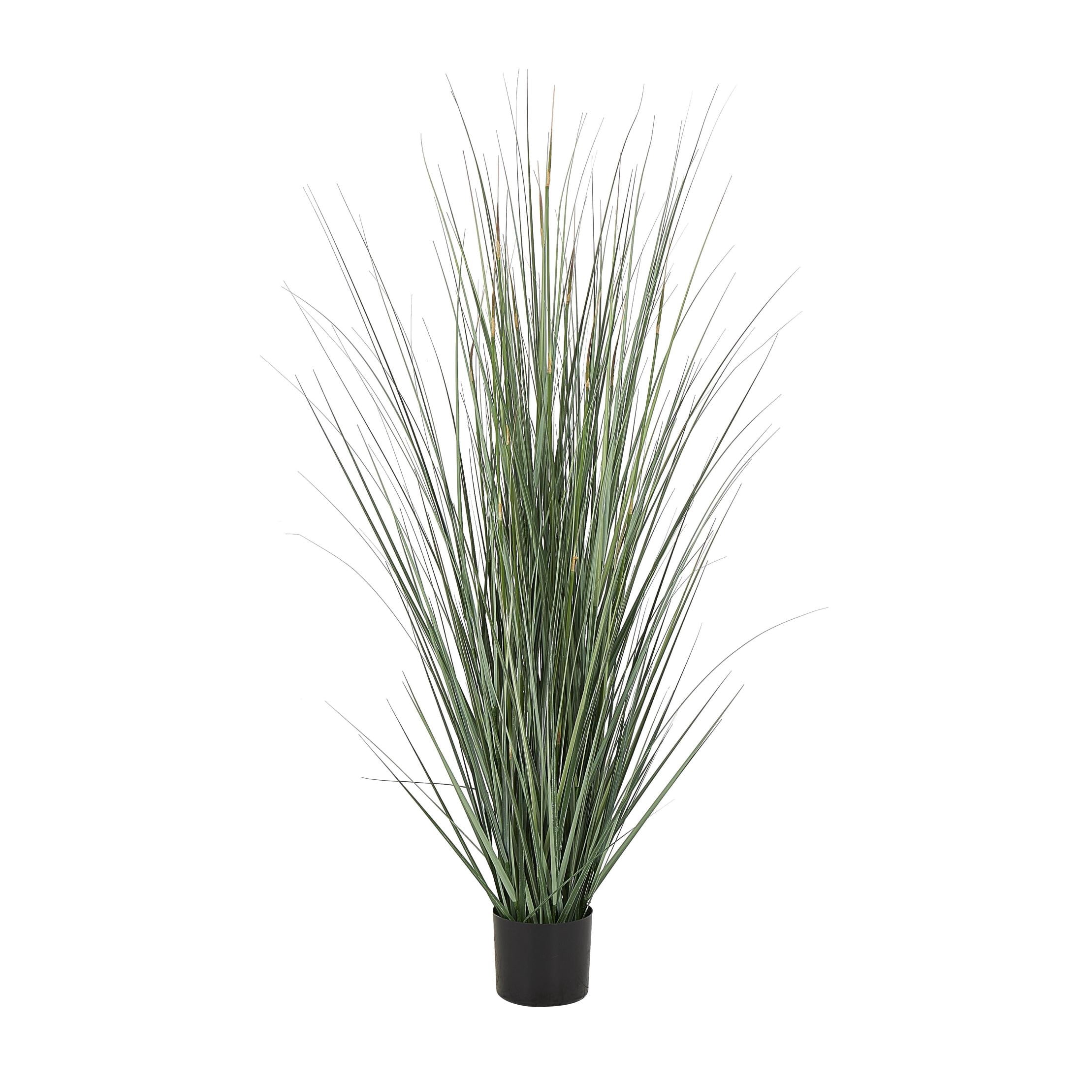 DecMode 61" Tall Artificial Onion Grass Plant in Black Plastic Pot