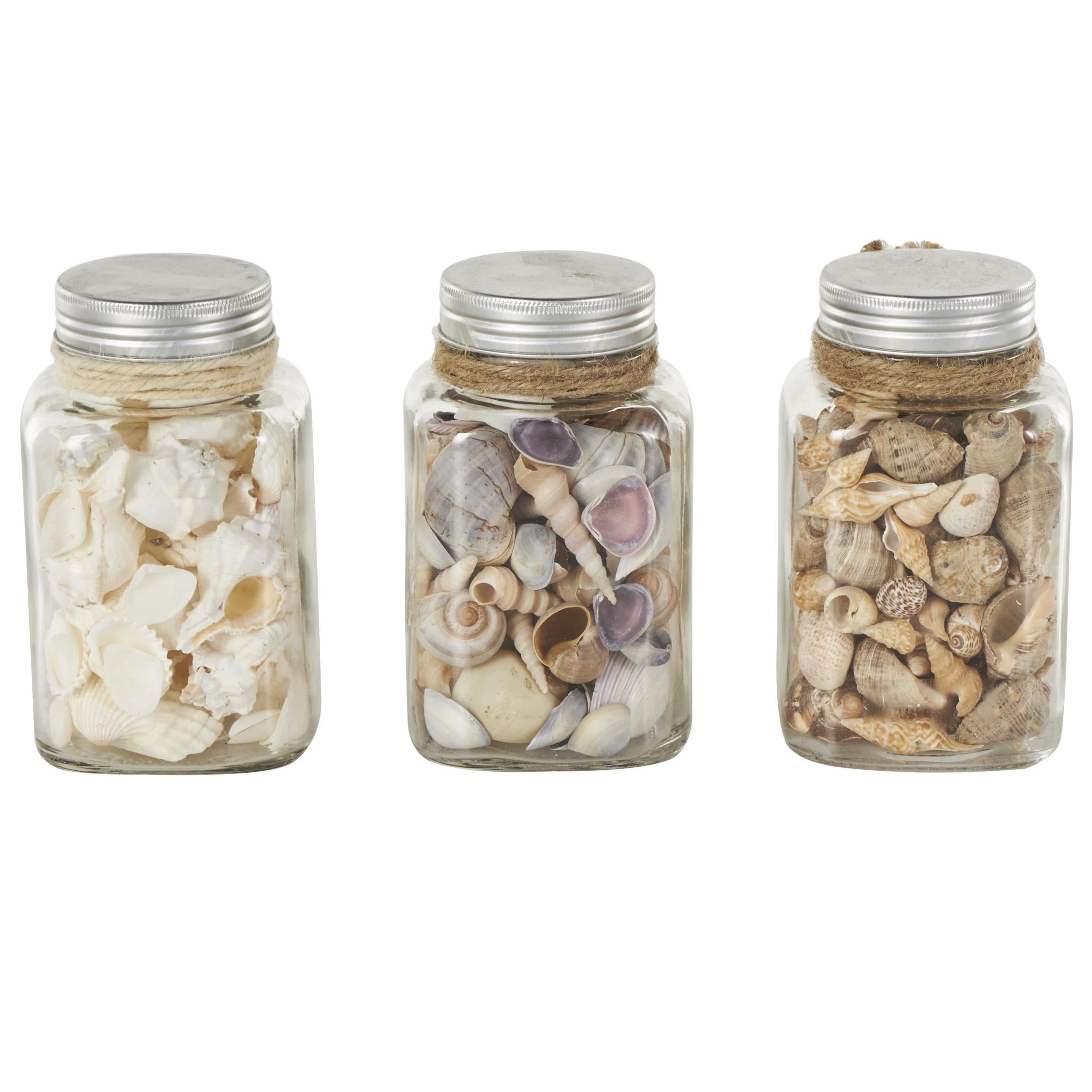 DecMode Clear 3" Glass Orbs & Vase Filler with Seashells and Jute Rope Accents (3 Count)