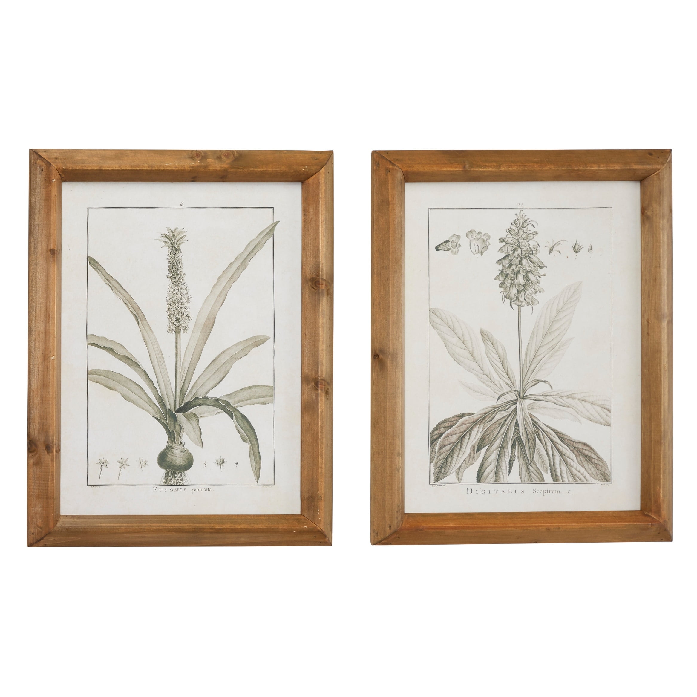 Light Brown and White Botanical Print Wall Art Set