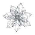 thumbnail image 1 of DecMode Modern Black Metal Hibiscus Flower Wall Décor with Crystal Embellshments, 26"W x 26"H, 1 of 14