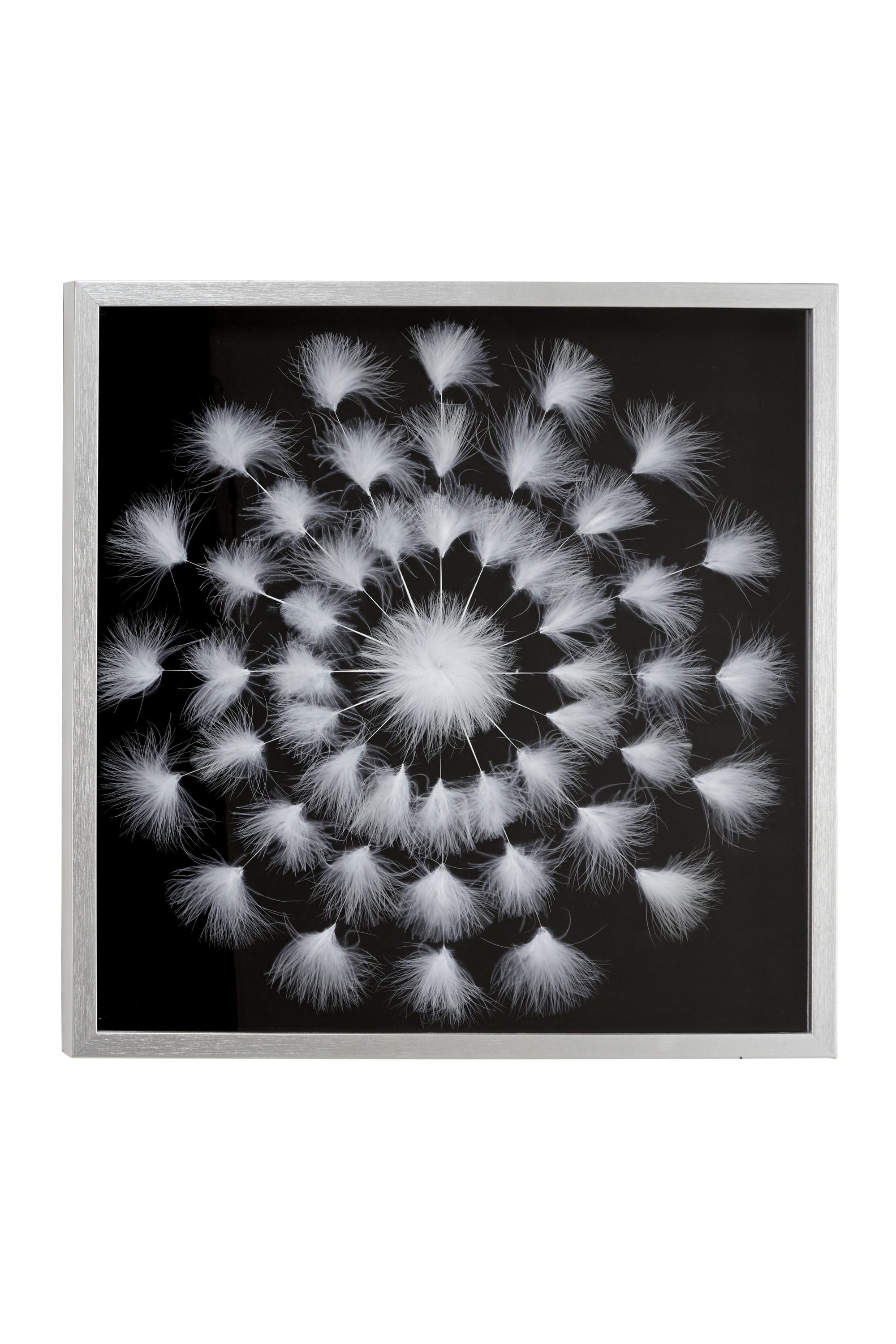 DecMode Polystone Natural White Feather Wall Décor Shadow Box, 24"W x 24"H