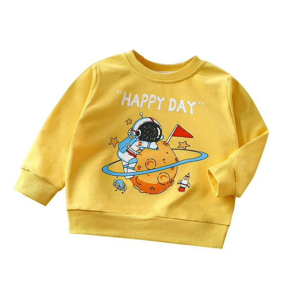 DecSea Toddler Boy's Kids Crewneck Pullover Sweatshirts 2-7Year